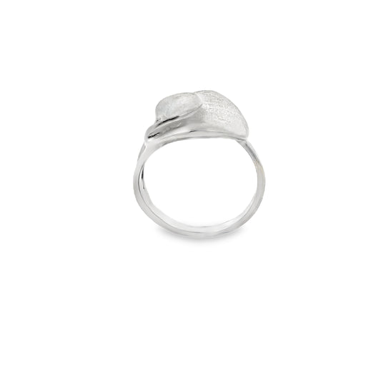 Matt Silver Ring
