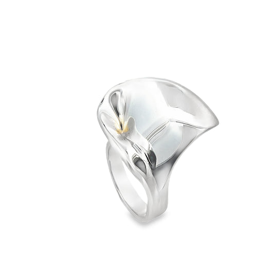 Sleek Silver Ring
