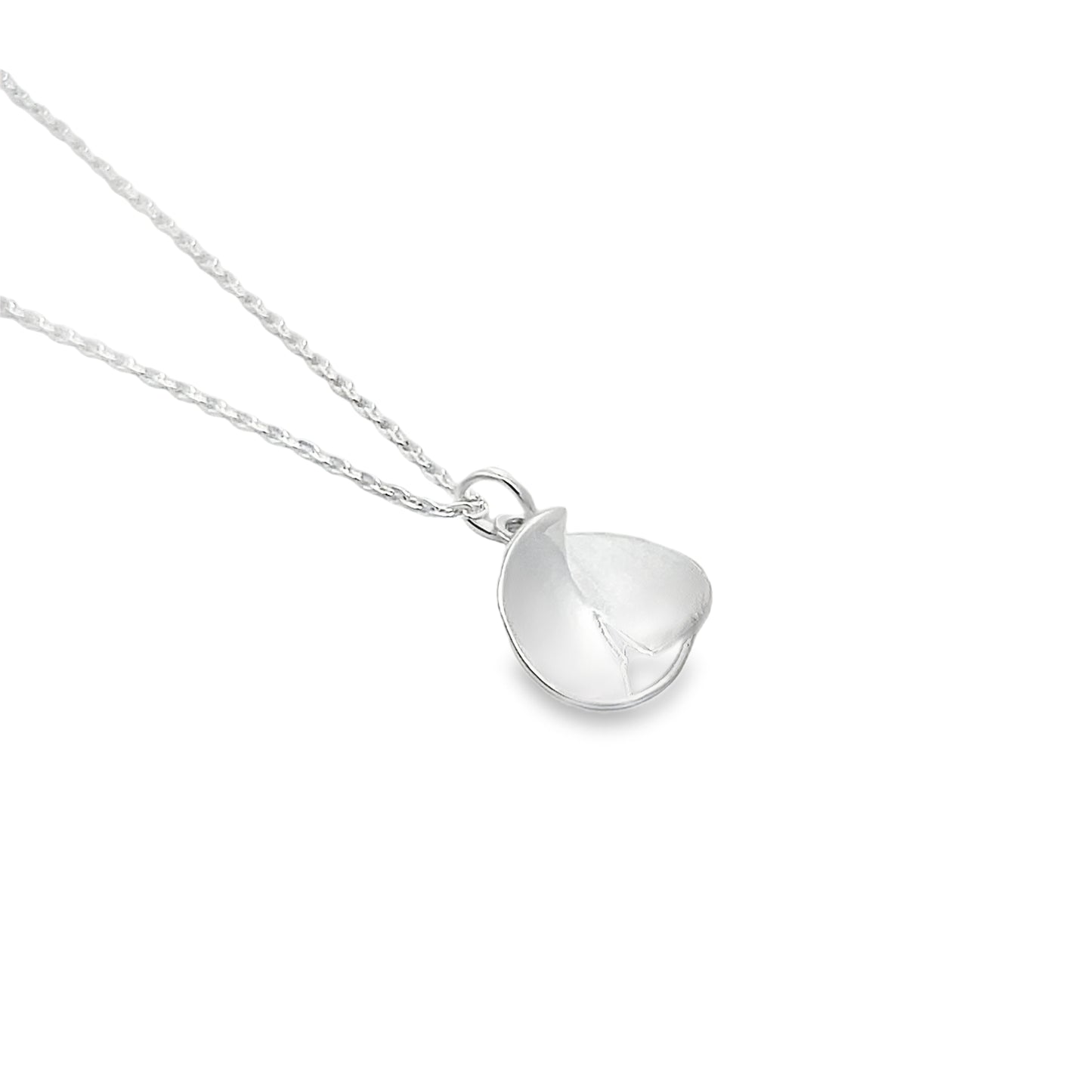 Silver Moon Disc Necklace