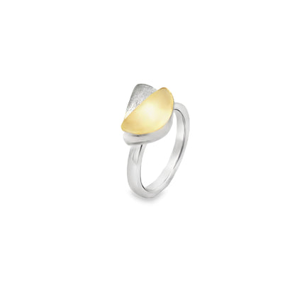 Silver Two-Tone Ring