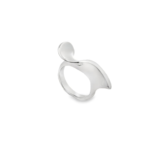 Silver Sculpture Ring